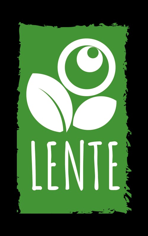 locandina del progetto lente