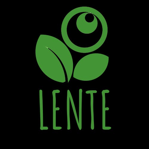 Logo Lente