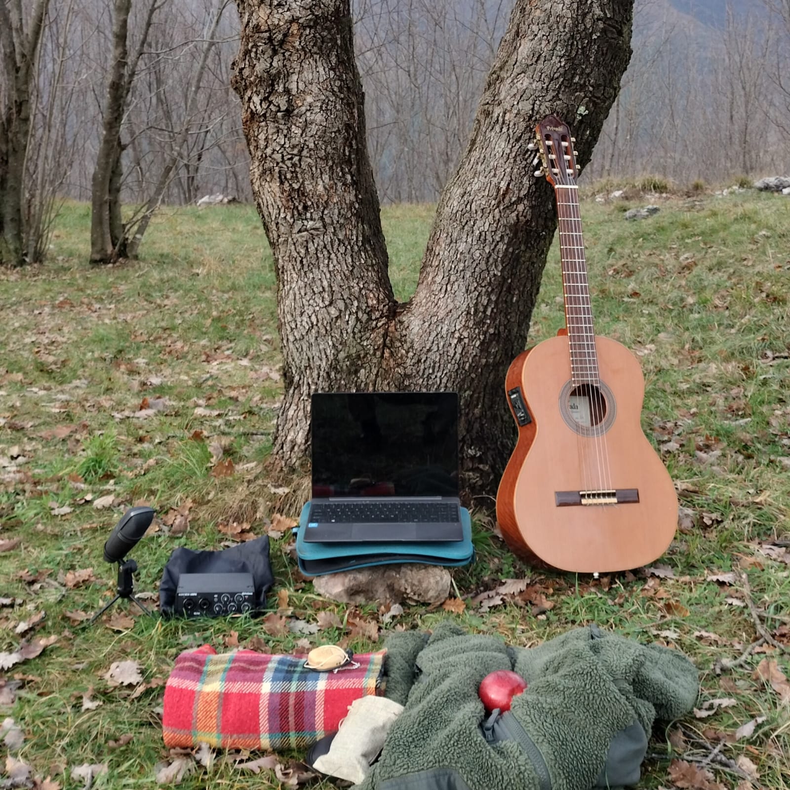 Voce delle Piante